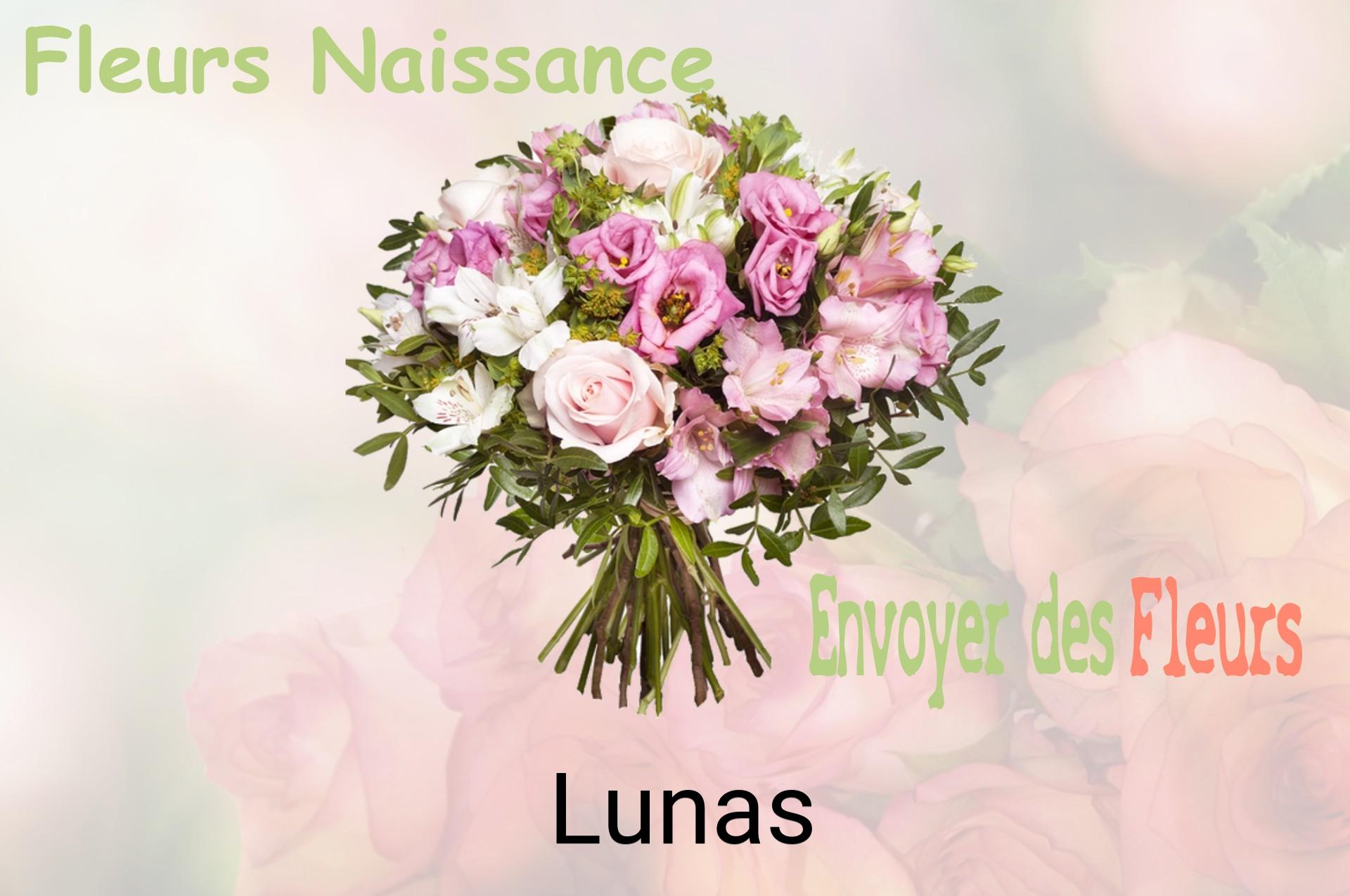 Bouquet de fleurs de naissance livré à Lunas