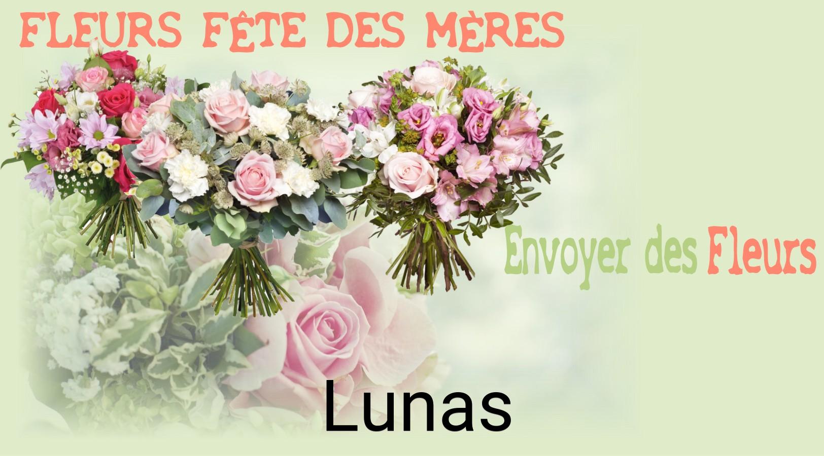 Bouquet de Fête des Mères livré à Lunas